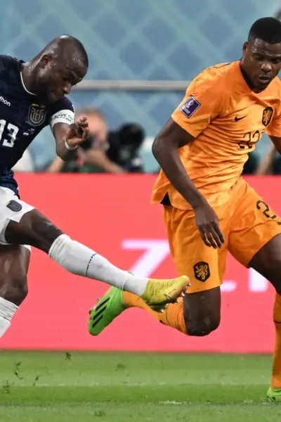 OFICIAL: Ecuador tiene amistosos confirmados para marzo