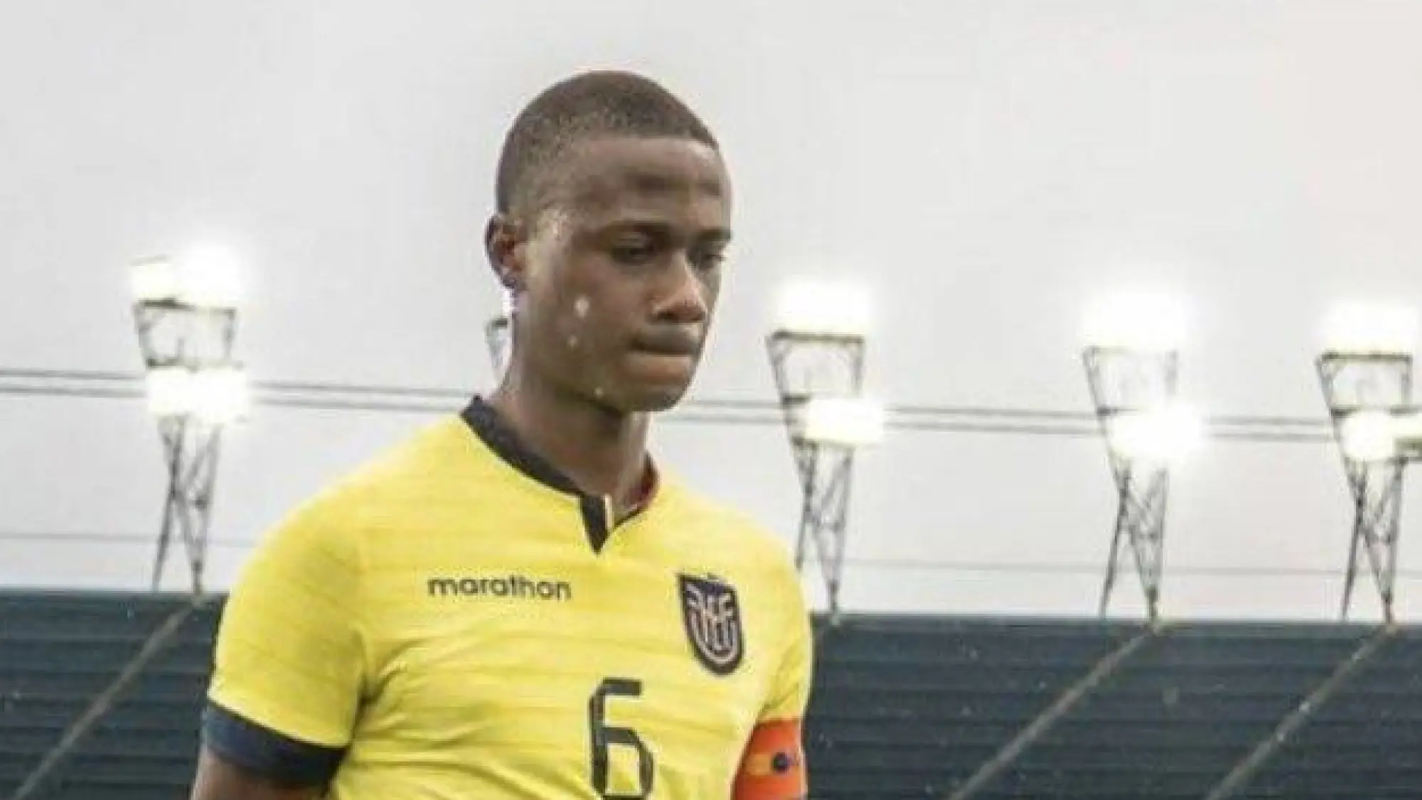 Fricio Caicedo, Redes