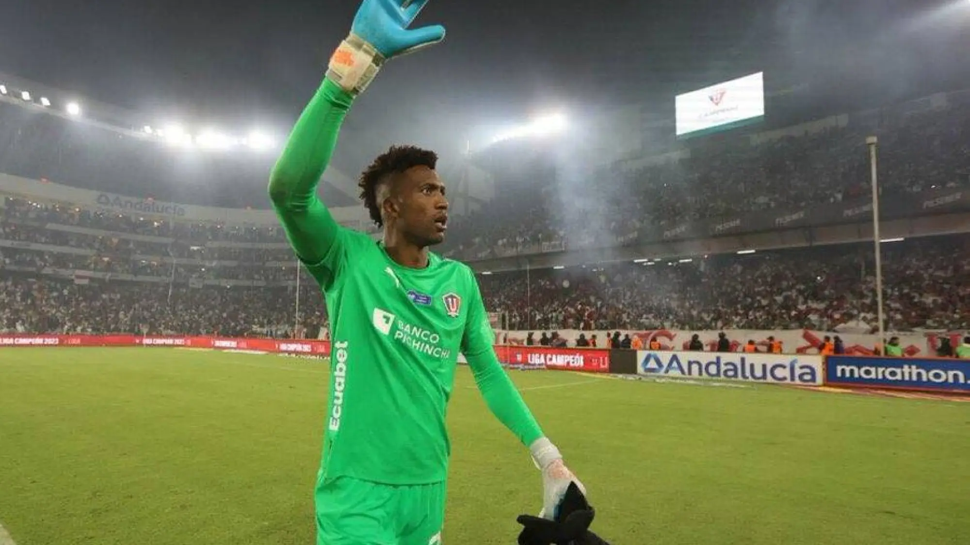 Alexander Domínguez , Redes