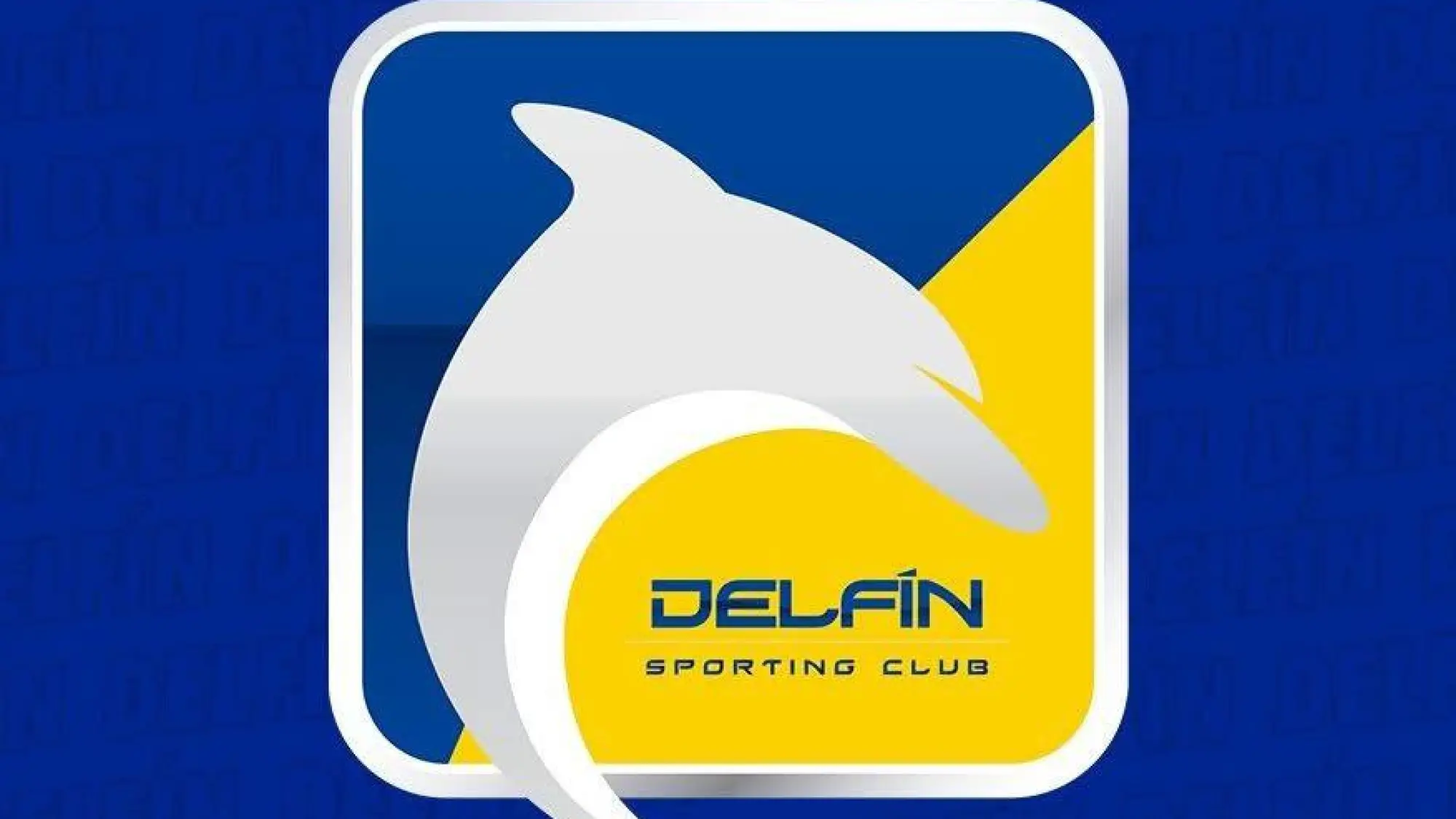 Delfín SC seguirá en Manta., Web