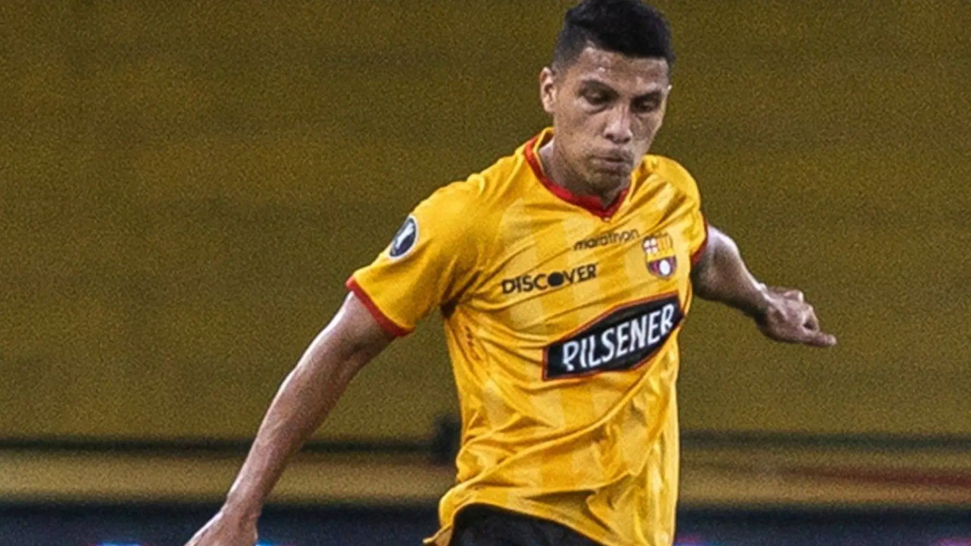 Luis Fernando León , Redes 