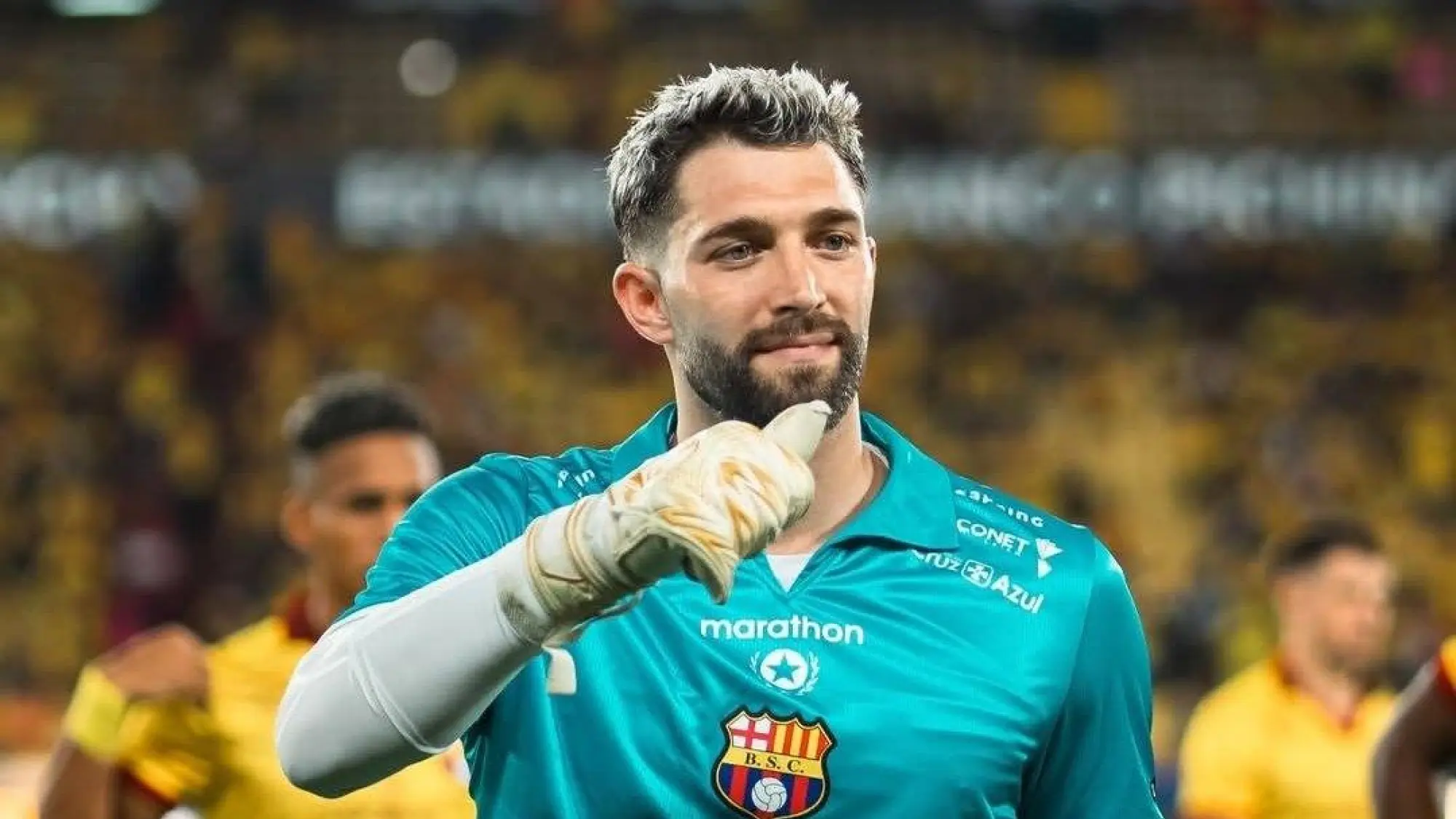 Ignacio de Arruabarrena , Redes