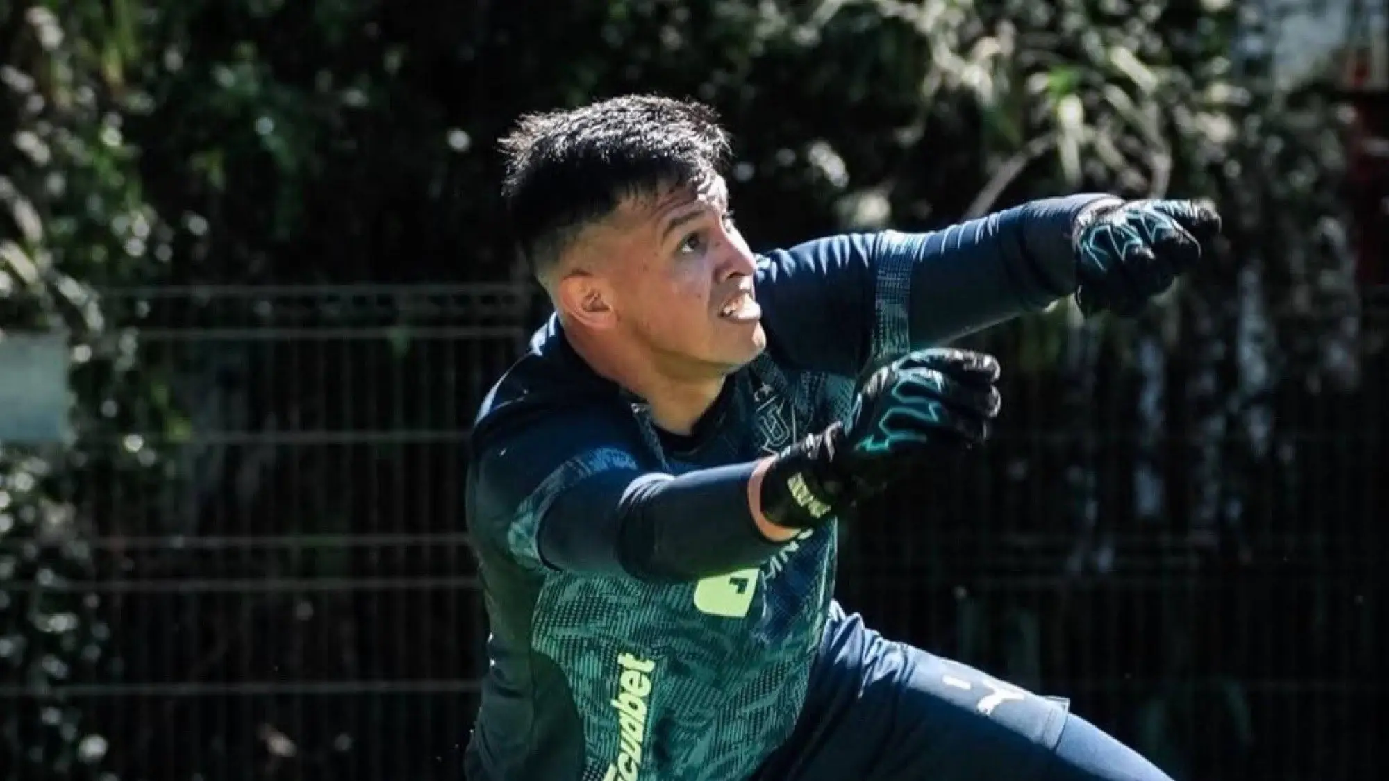 Gonzalo Valle, Redes