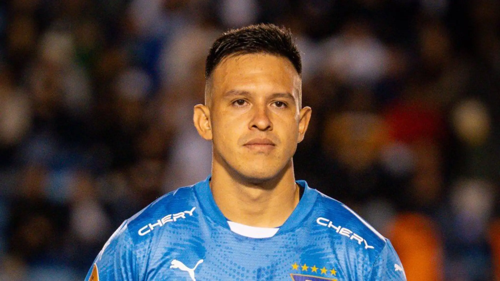 Gonzalo Valle, Redes