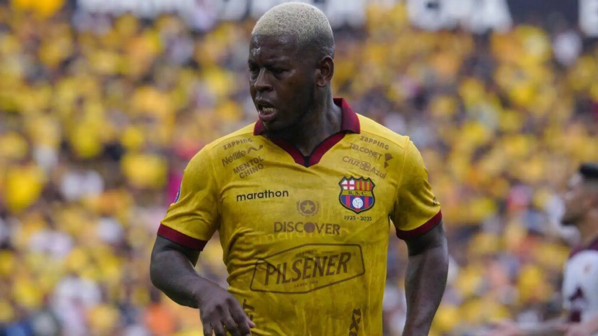 Gabriel Cortéz., API