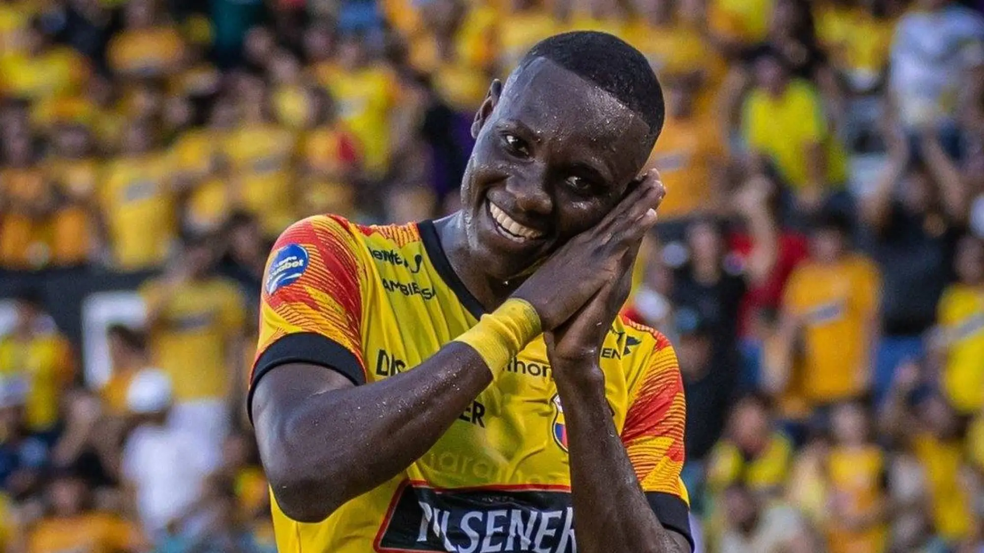 Janner Corozo, Redes