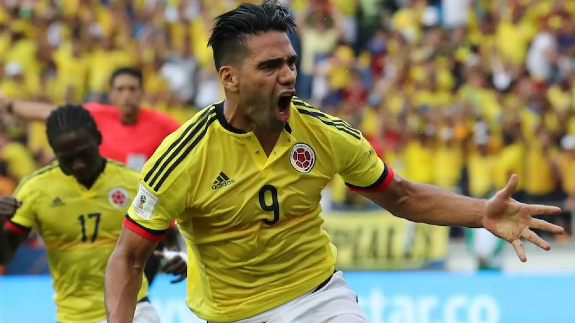 Radamel Falcao, Redes 