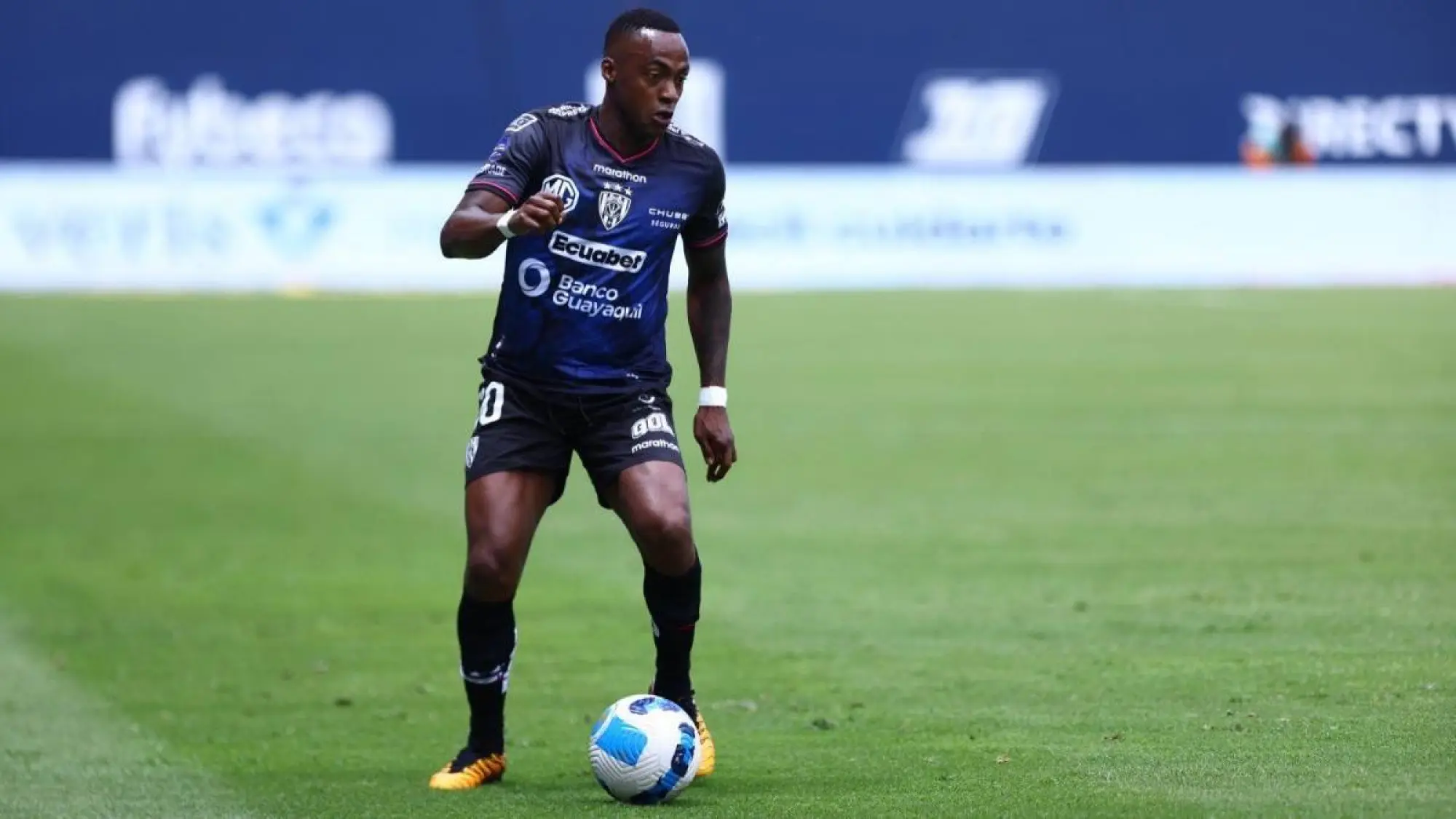 Renato Ibarra, Redes