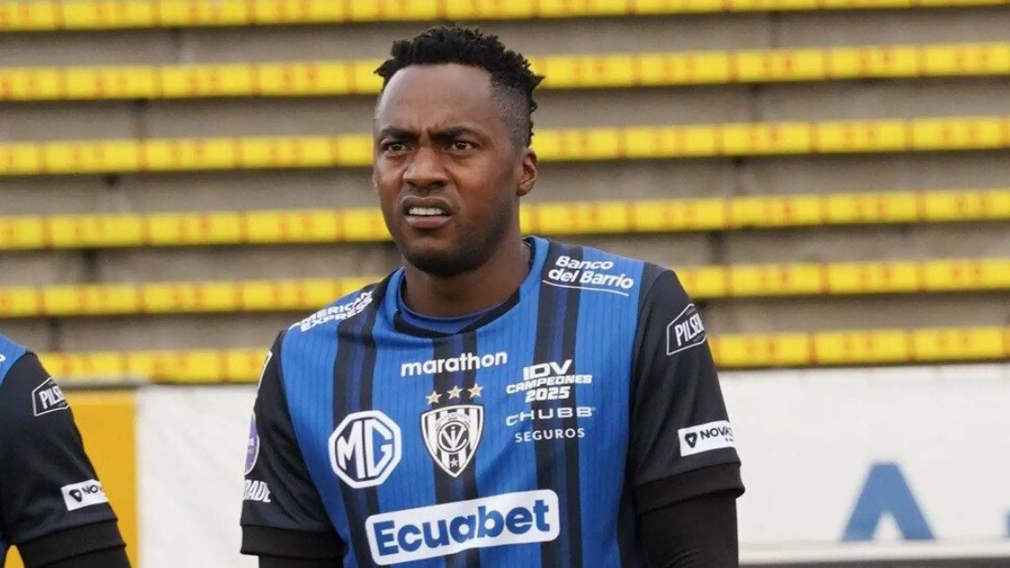 Renato Ibarra, Redes