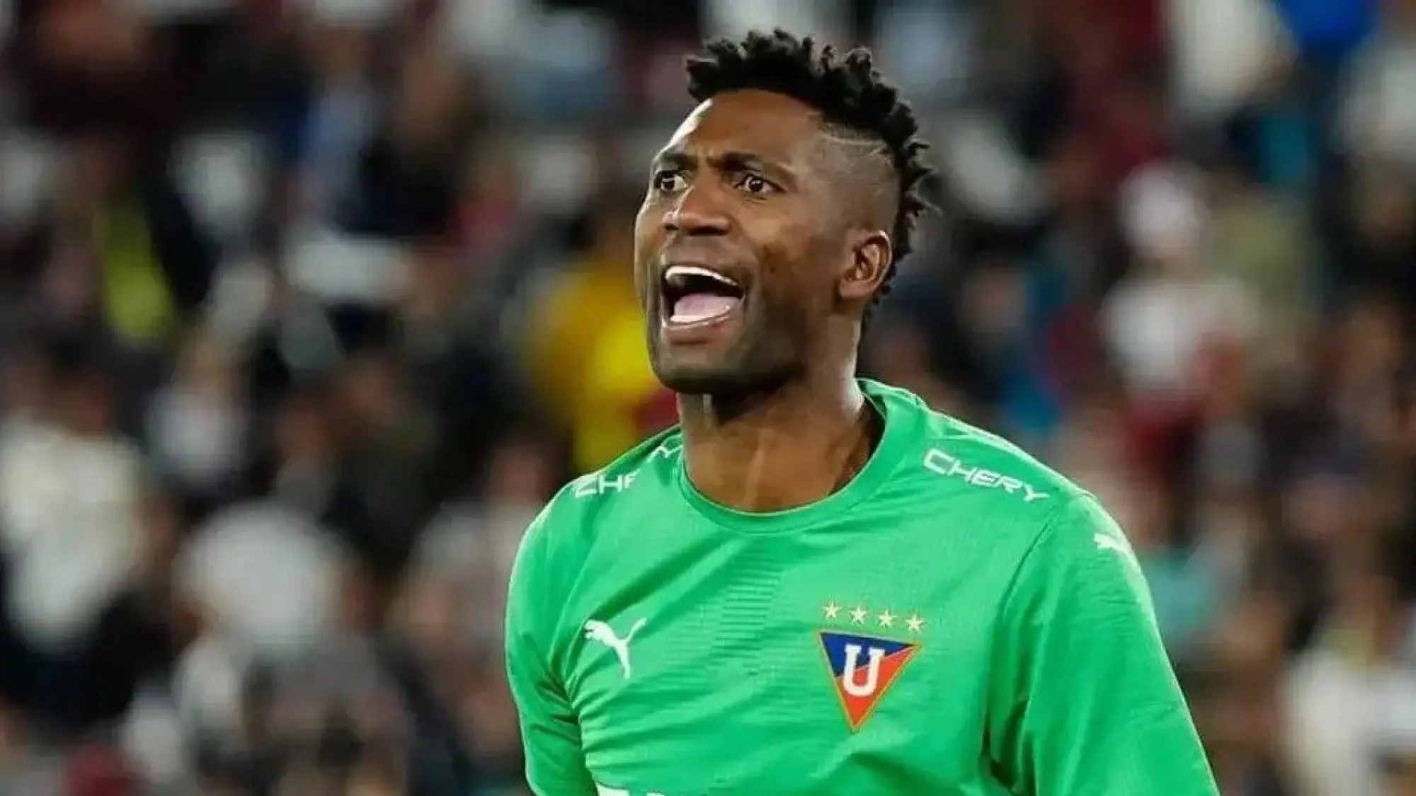 Alexander Domínguez , Redes