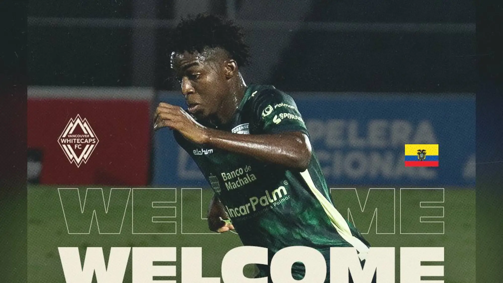 Bruno Caicedo, Redes