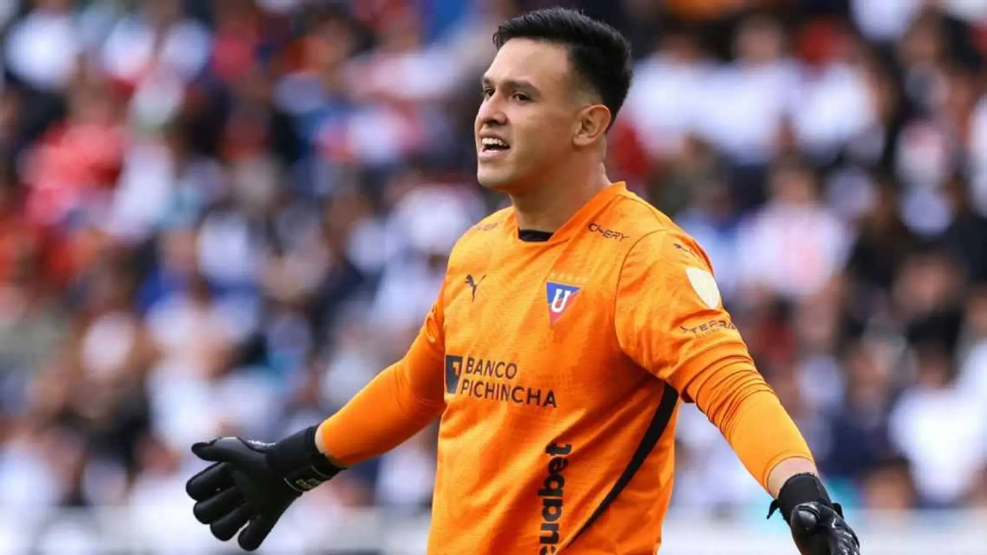 Gonzalo Valle, Redes