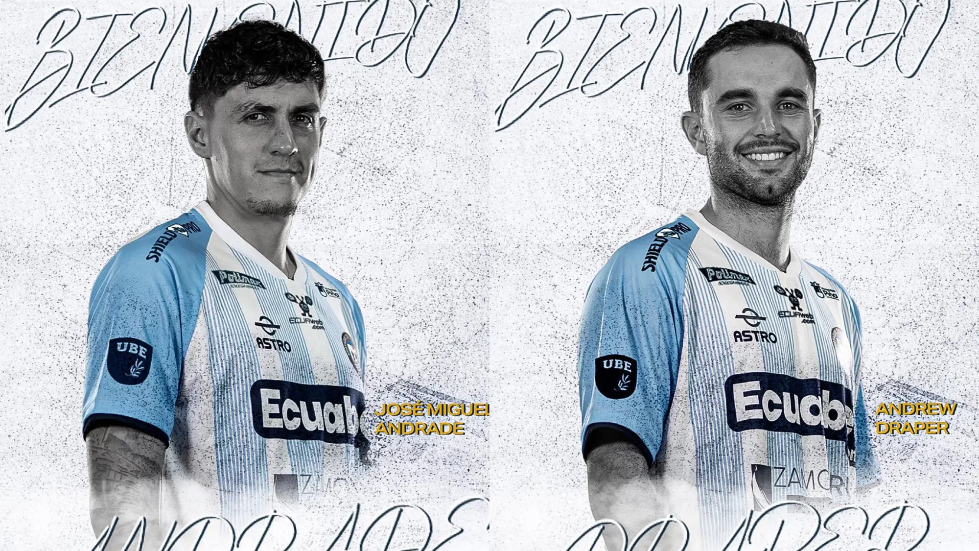 José Miguel Andrade - Andrew Draper, Redes