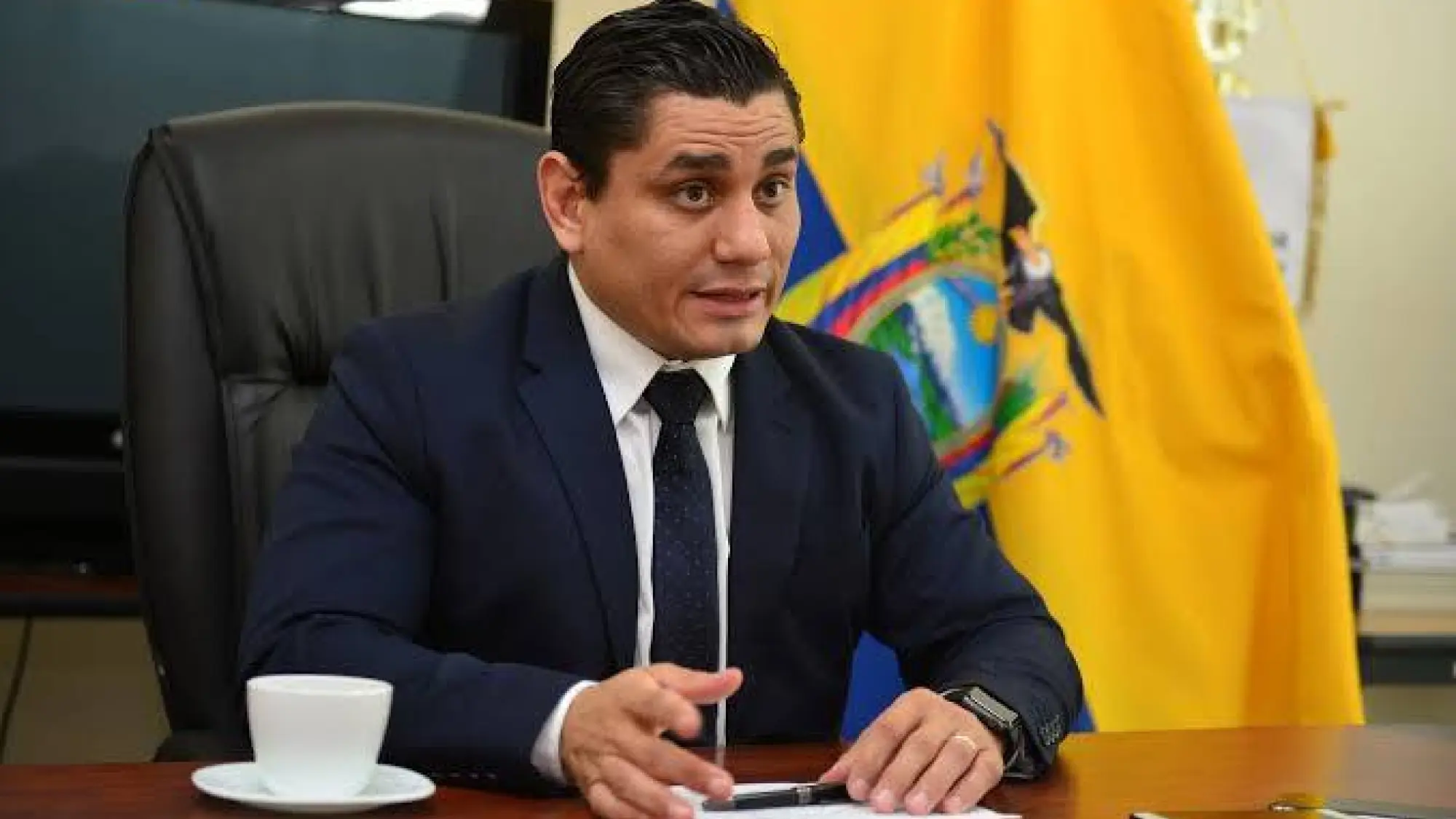 Roberto Ibáñez , Viceministerio del Deporte