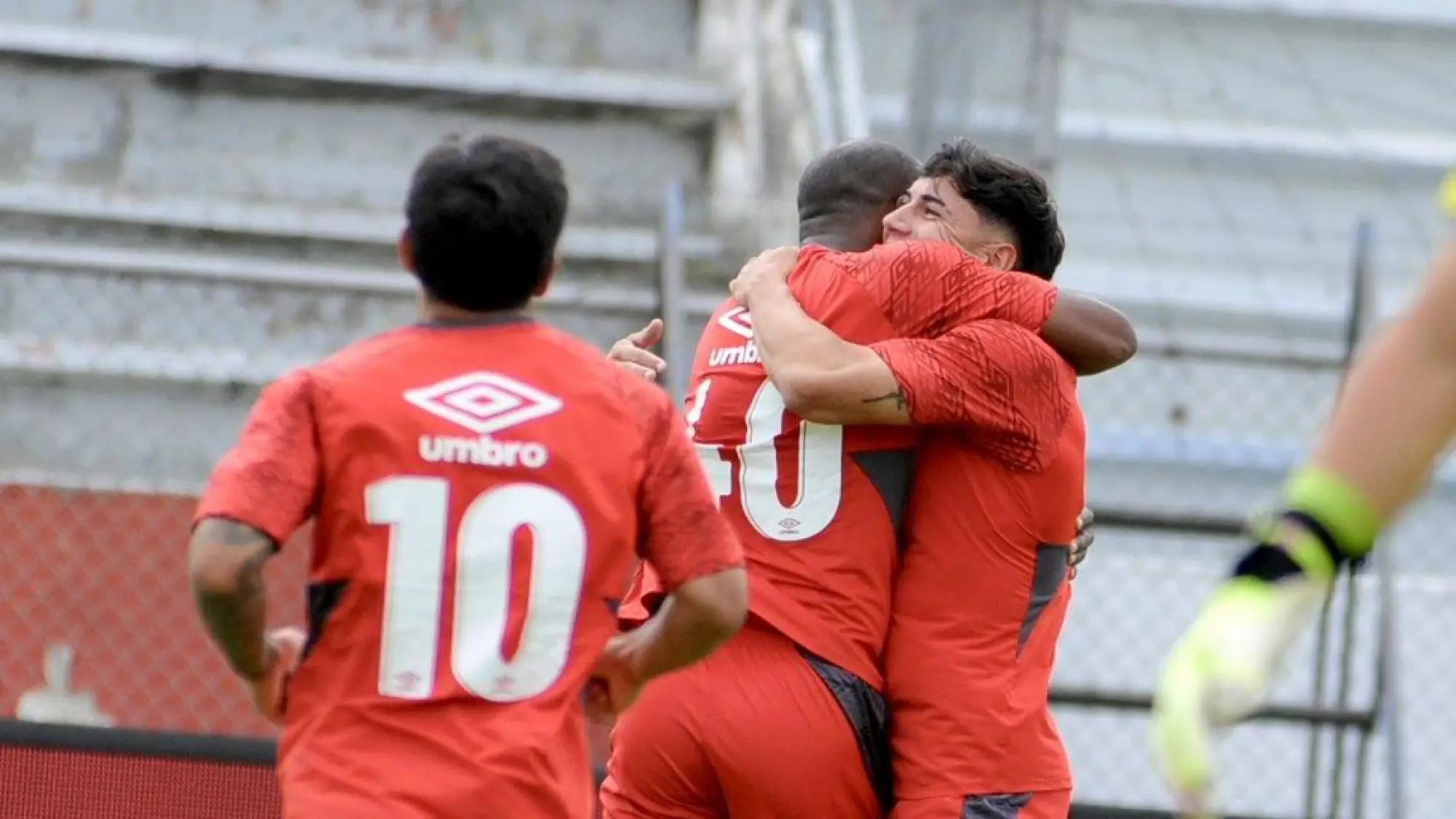 Leones del Norte, Redes