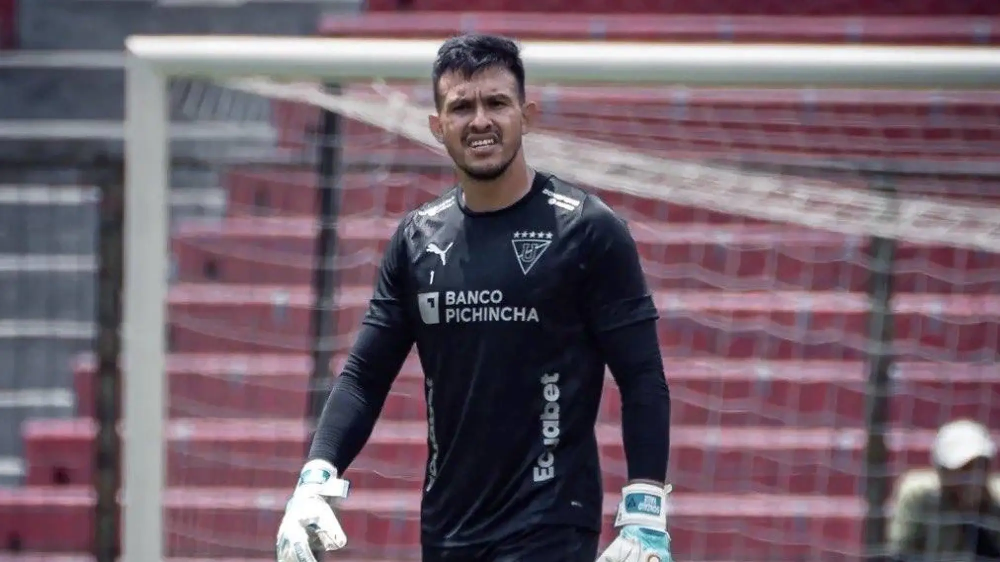 Gonzalo Valle, Redes