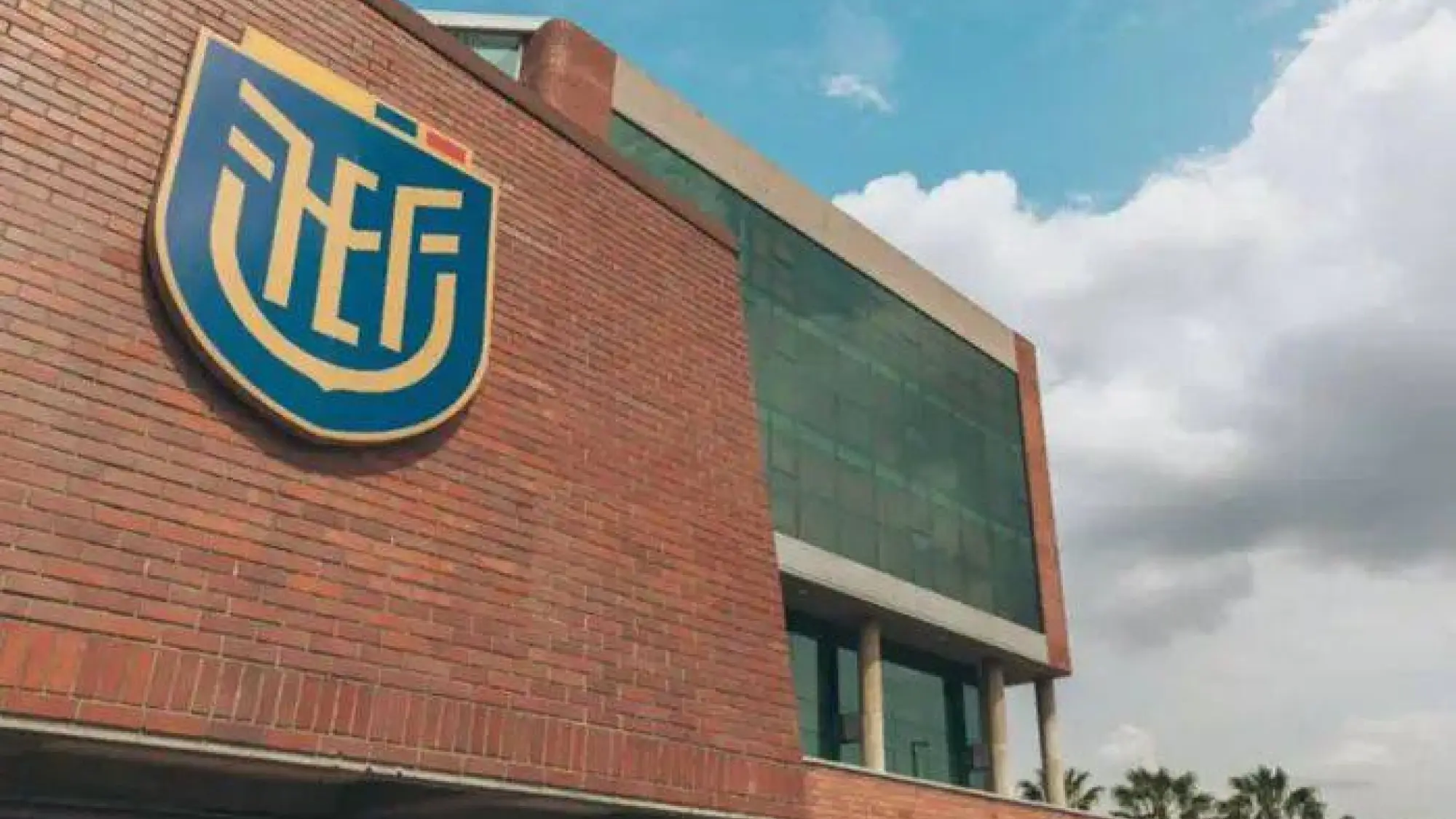 FEF confirmó el proceso de elecciones., Web