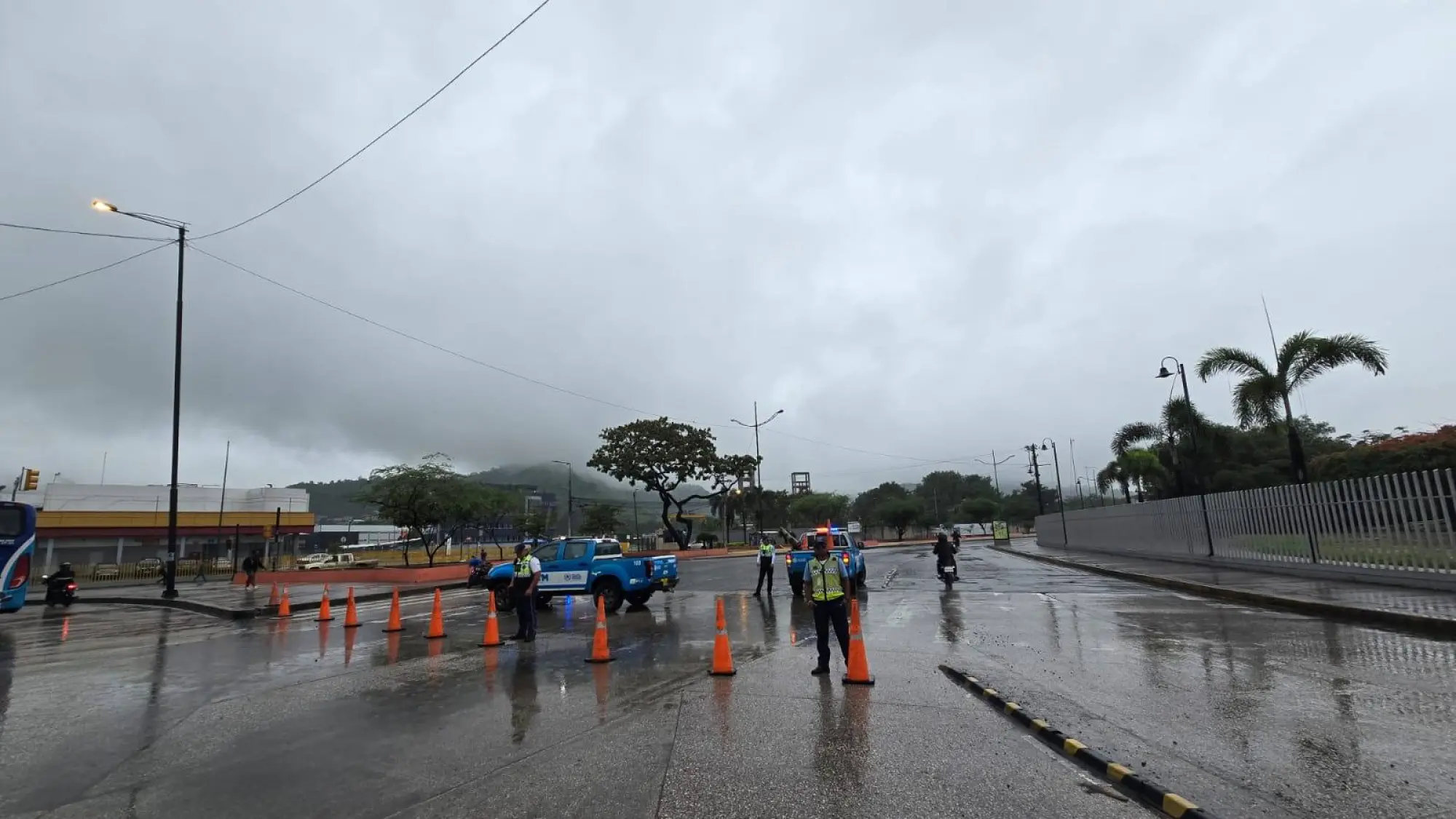 Avenida Barcelona, Redes