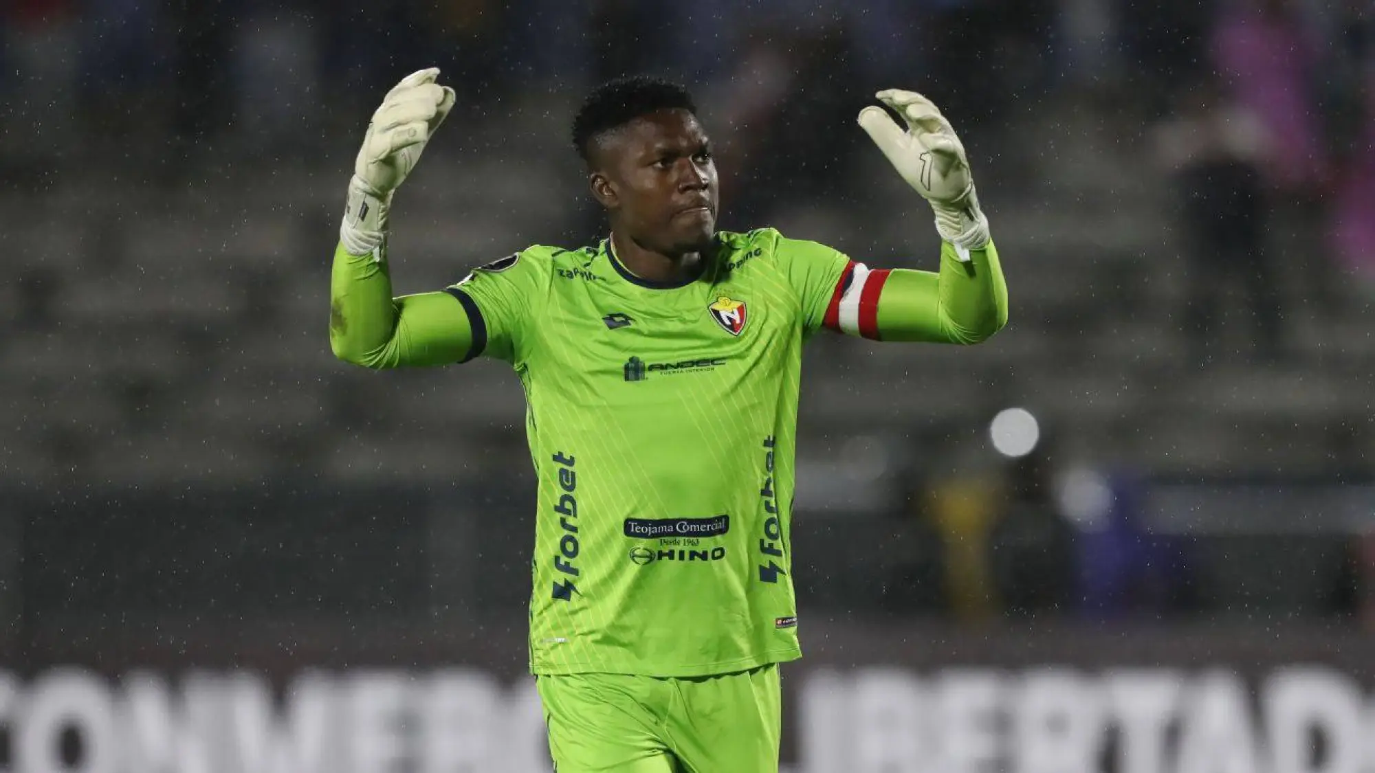 David Cabezas en El Nacional., API