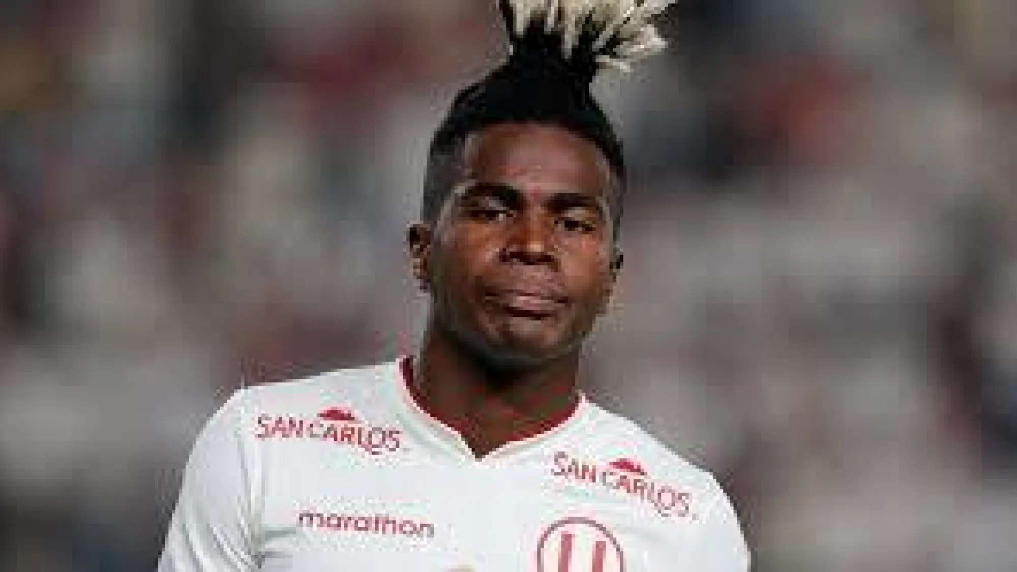 Segundo Portocarrero, Redes