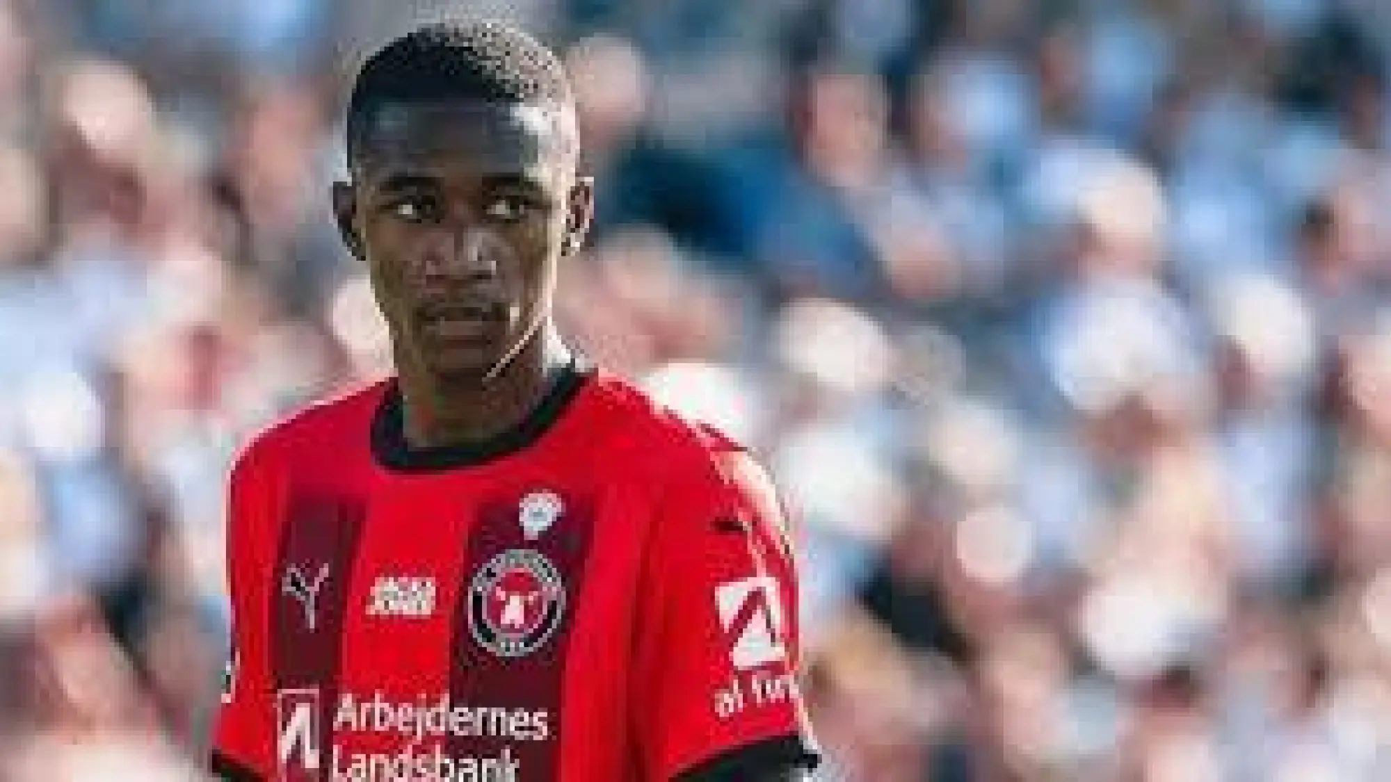 Denil Castillo, Redes