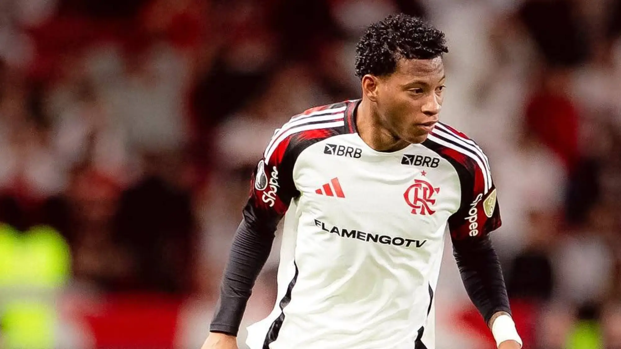 Gonzalo Plata, Redes