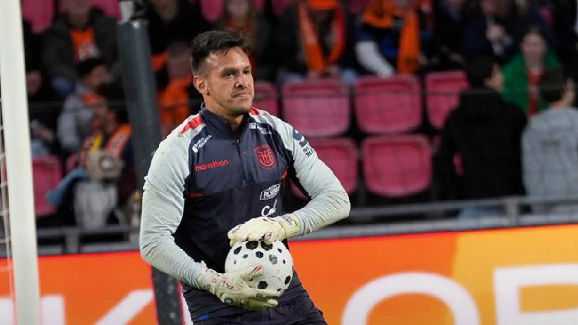 Gonzalo Valle, Redes