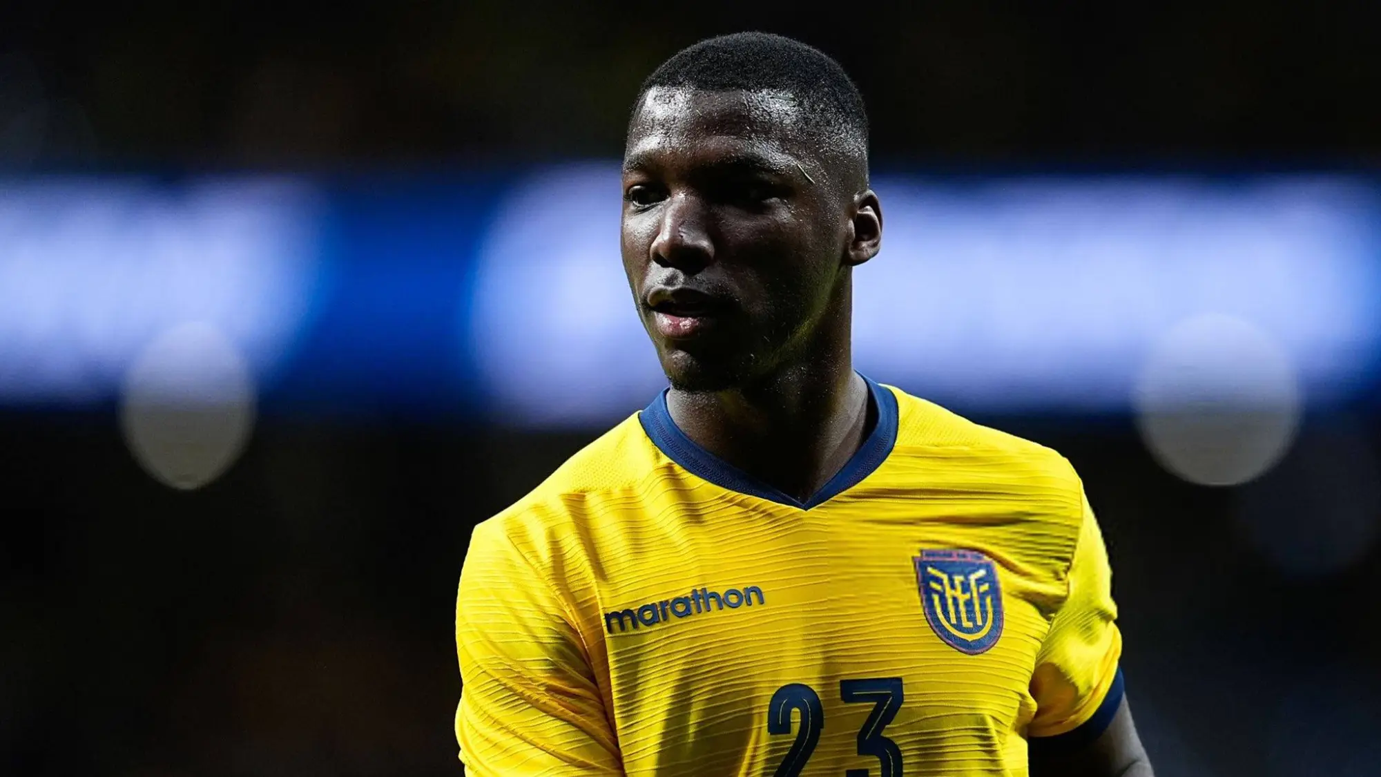 Moisés Caicedo, Redes