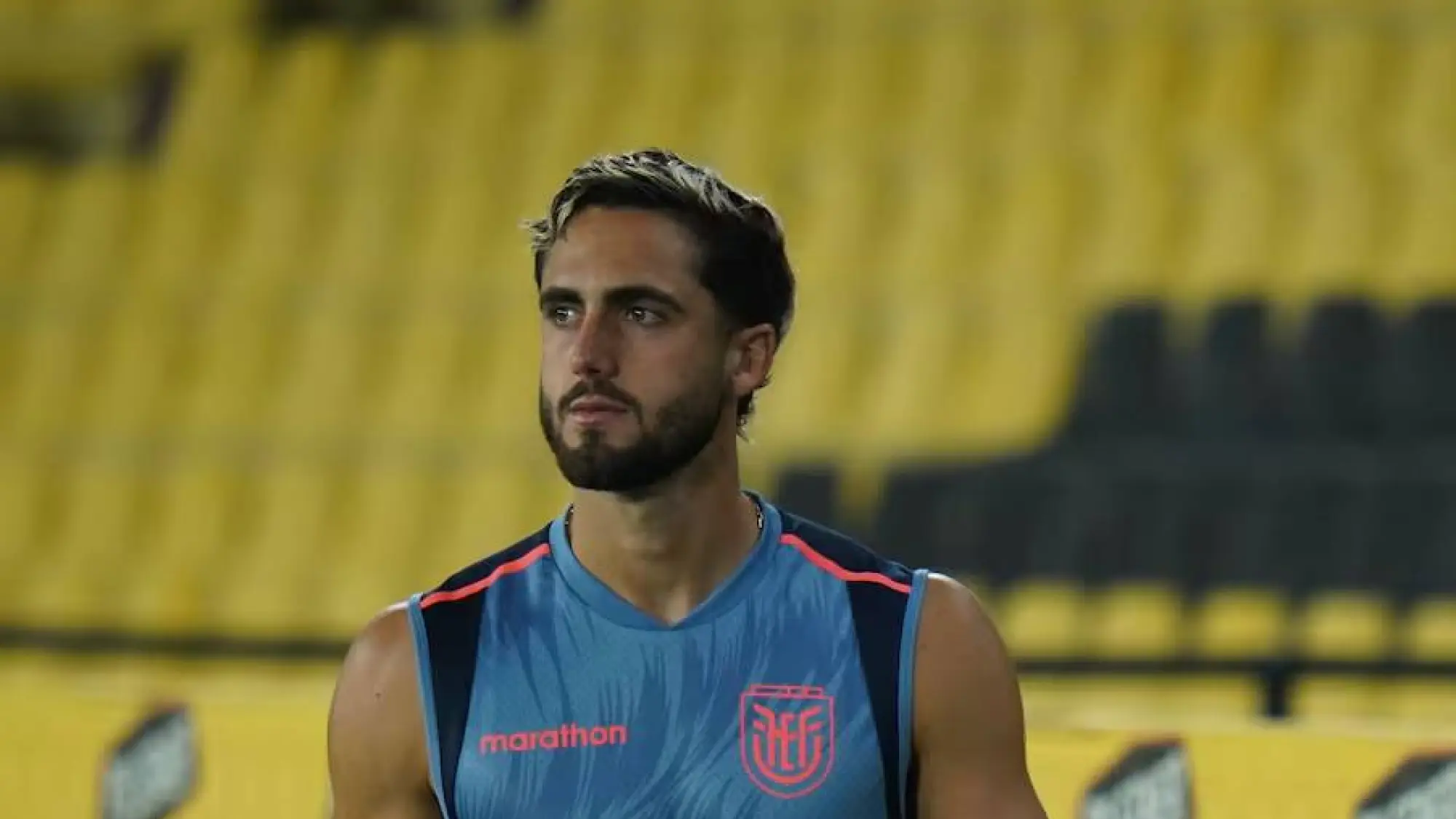 Leonardo Campana, Redes 