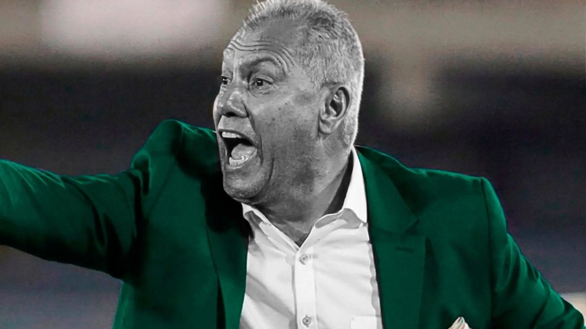 Hernán Torres , Redes