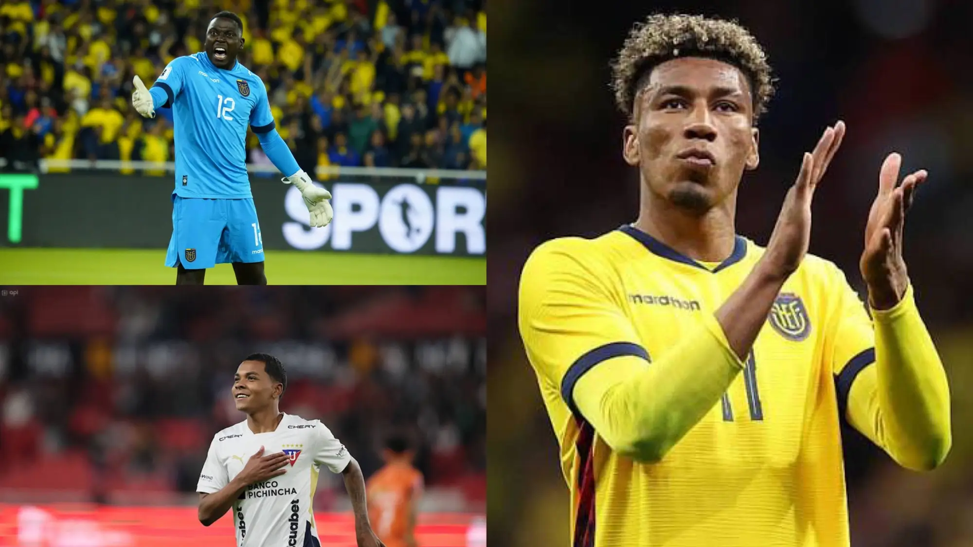 Jugadores de Ecuador, Redes 